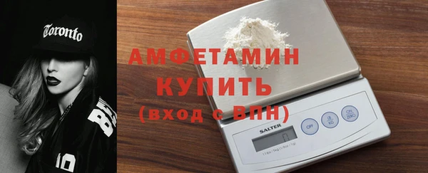 сатива Балахна