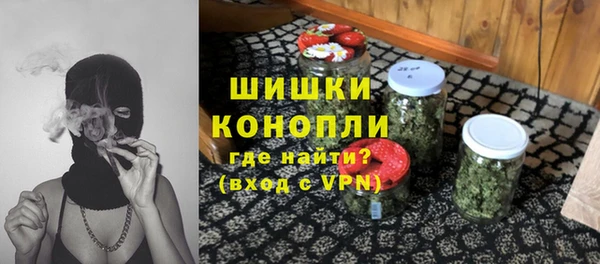 сатива Балахна