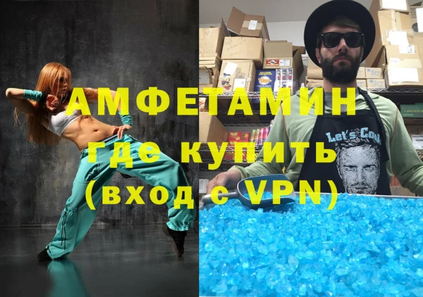 сатива Балахна