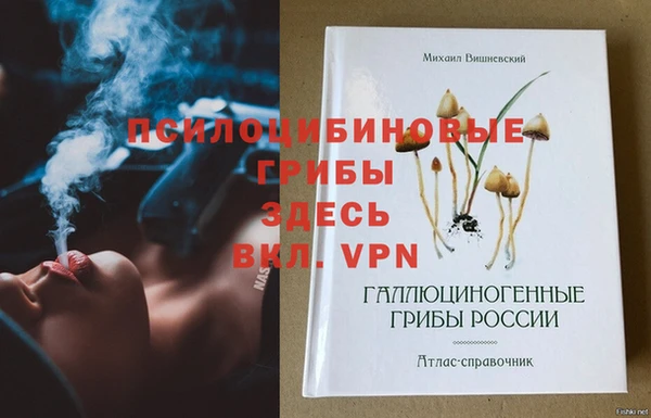 прущие крисы Осташков